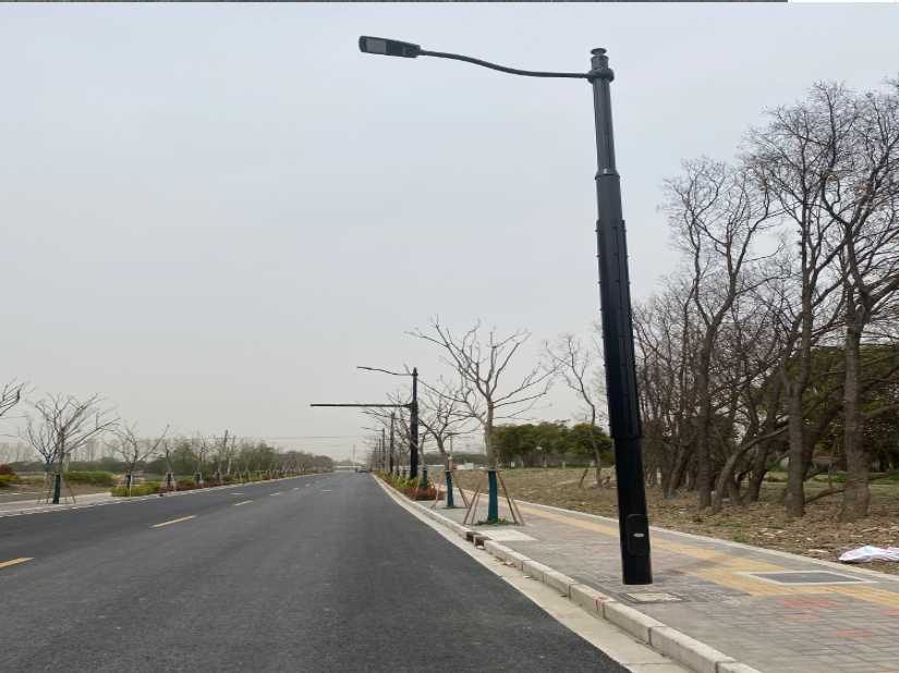 安丘市上海综合杆 太阳能路灯工程